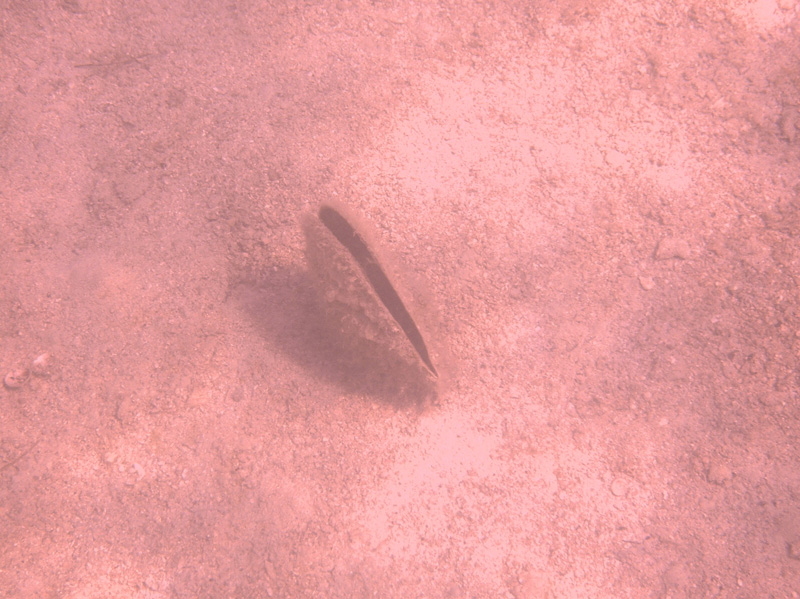 Isola di Zut097