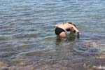 Isola di Zut058