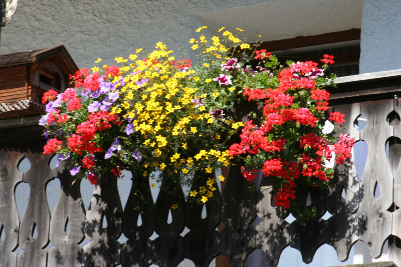Estate 2007-042