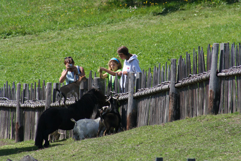 Estate 2007-045