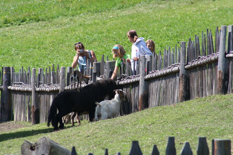 Estate 2007-046