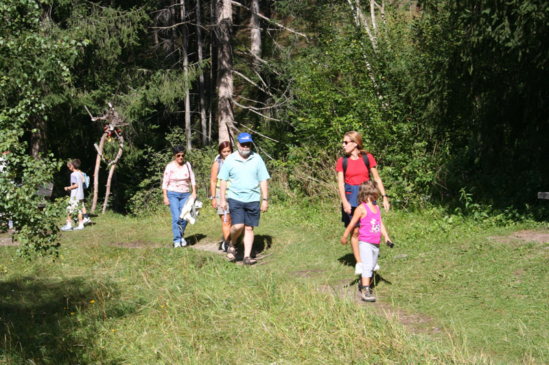 Estate 2007-066