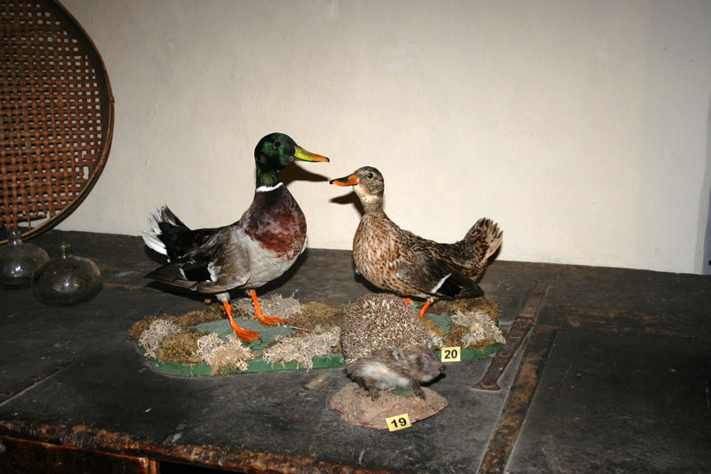 Estate 2007-089