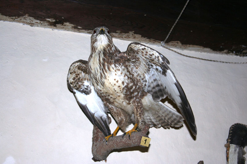 Estate 2007-090