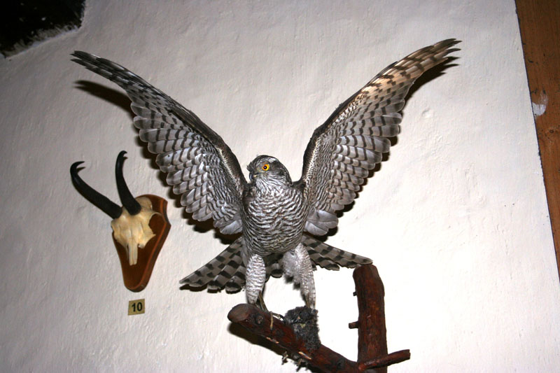 Estate 2007-091