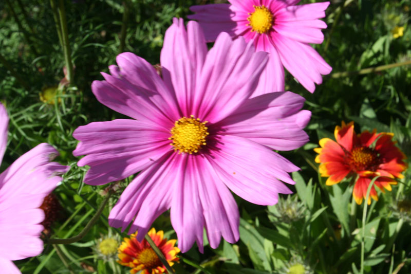 Estate 2007-108