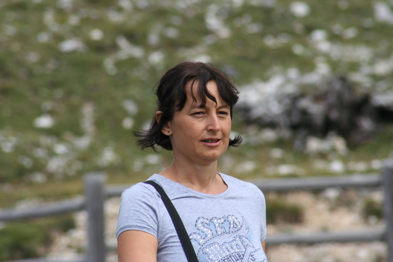 Estate 2007-141