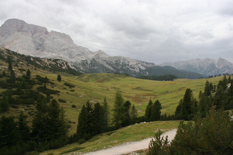 Estate 2007-182