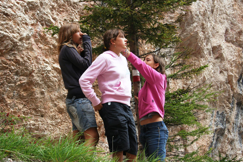 Estate 2007-210