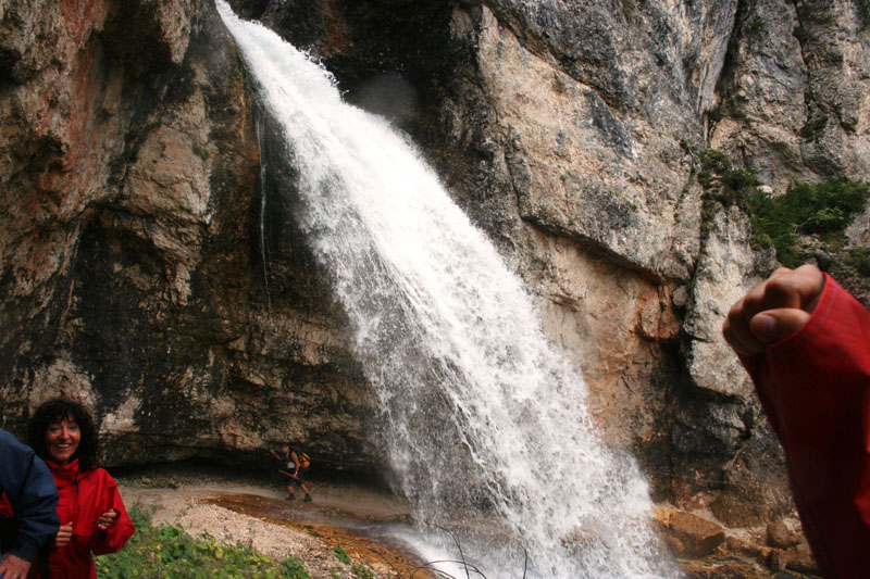 Estate 2007-223