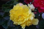 Estate 2007-054
