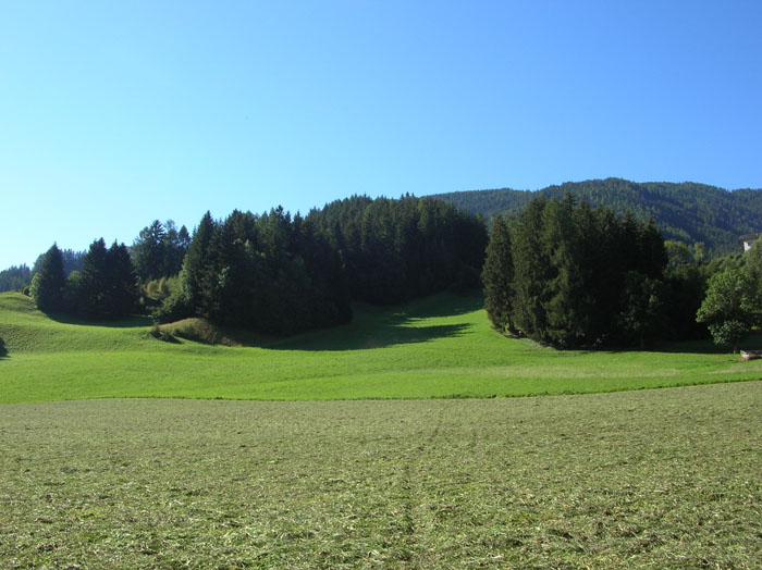Villa San Giuseppe 2007-005