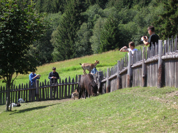Villa San Giuseppe 2007-025