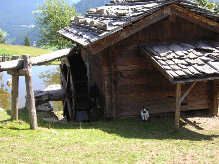Villa San Giuseppe 2007-029