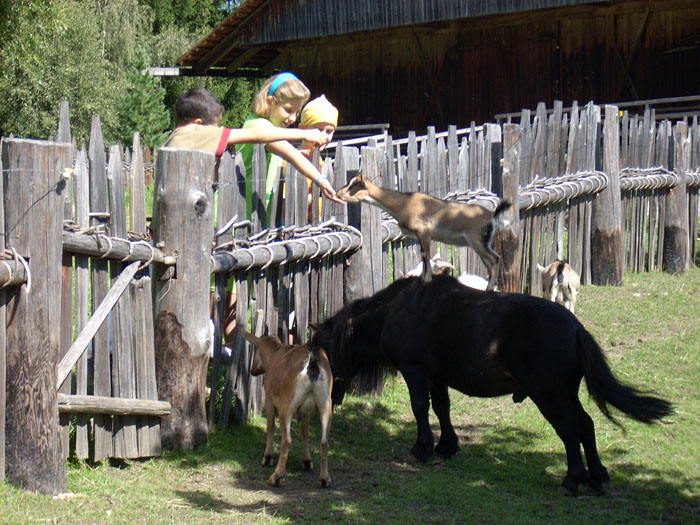 Villa San Giuseppe 2007-046
