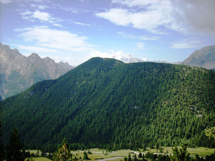 Villa San Giuseppe 2007-074