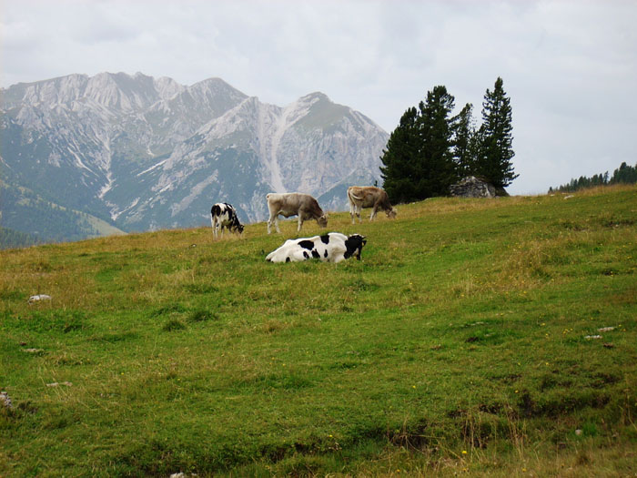 Villa San Giuseppe 2007-105