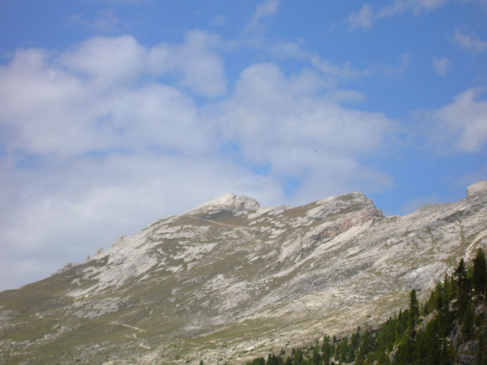 Villa San Giuseppe 2007-121