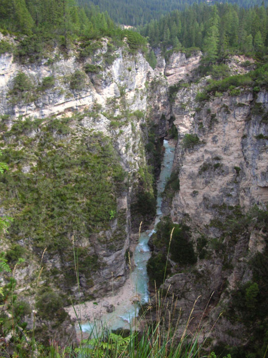 Villa San Giuseppe 2007-149
