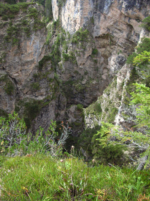 Villa San Giuseppe 2007-154