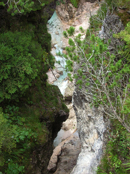 Villa San Giuseppe 2007-204