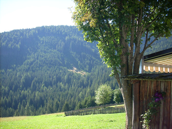 Villa San Giuseppe 2007-370