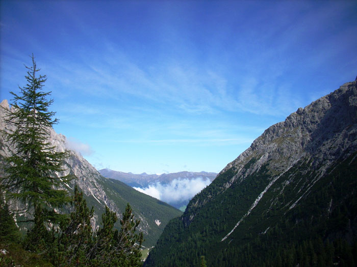 Villa San Giuseppe 2007-396