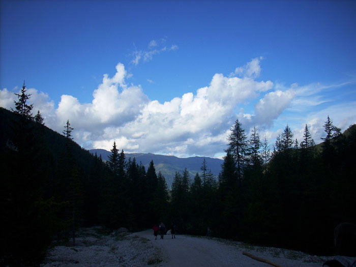 Villa San Giuseppe 2007-427