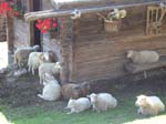 Villa San Giuseppe 2007-017