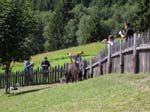 Villa San Giuseppe 2007-025