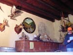 Villa San Giuseppe 2007-275