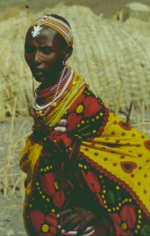 donna-elmolo.jpg (7276 byte)