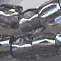 46010