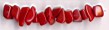 corallo rosso