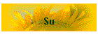 Su