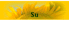 Su