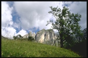 Pasubio