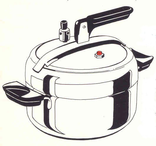 cocotte.jpg