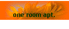 one room apt.