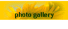 photo gallery