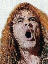 Iron Maiden - Nella foto Steven Harris
